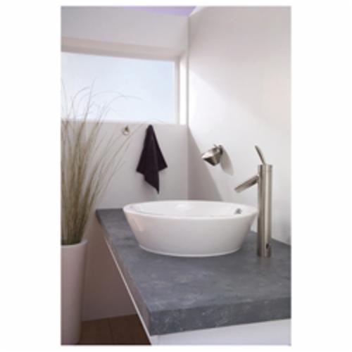 AXOR 40837000 Starck Hook, 2 in W x 2-1/8 in H, 1 Hook, Import