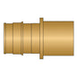 HeatLink® EX27128NL 27100NL Adapter, 1 in Nominal, PEX F1960 x Male C End Style, Brass, Import
