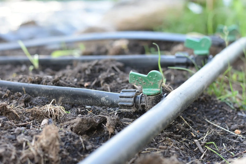 DRIP IRRIGATION