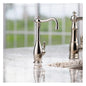 Showroom - Instant Hot Water Faucet - Traditional 2020