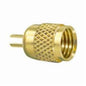 Cap - Brass - for All Cfc