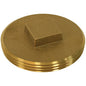 Jones Stephens™ P50999 Raised Head Southern Code Plug, 1 in Nominal, Brass