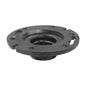 Jones Stephens™ 2-Finger Closet Flange, Cast Iron