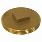 Raised Head Cleanout Plug - Brass - Southern Code Brass Plug
