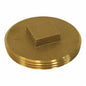 Raised Head Cleanout Plug - Brass - Southern Code Brass Plug