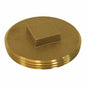 Raised Head Cleanout Plug - Brass - Southern Code Brass Plug
