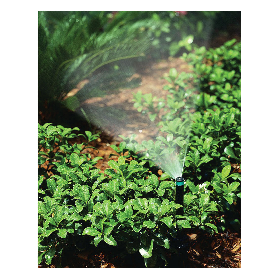 K RAIN® KVF8 Adjustable High Efficiency Nozzle, 0 to 360 deg Coverage