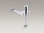 Retrofit Manual Washdown Flushometer - 10 GPM - Brass