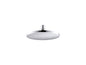13688-G - Shower Head - Ceiling Mount - Solid Brass