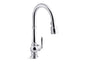 Artifacts - Pull Down Kitchen Sink Faucet - 1.5 GPM