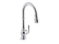 Artifacts - Kitchen Faucet - 17-5/8" H - Deck Mount