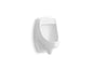 Dexter - Washdown Urinal - Vitreous China