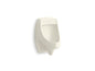 Dexter - Washdown Urinal - Vitreous China