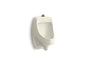 Dexter - Washdown Urinal with Top Spud - Biscuit - 0.125 GPF