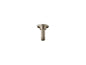 Mastershower - Shower Arm and Flange - Vibrant French