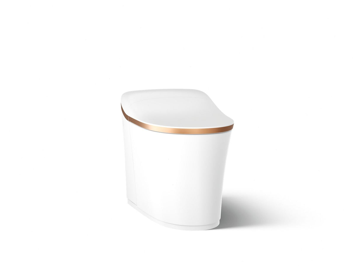 Eir Comfort Height - Toilet - Wall Mount - Elongated