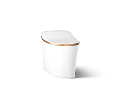 Eir Comfort Height - Toilet - Wall Mount - Elongated