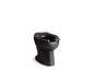 Wellcome Ultra - Flushometer Toilet Bowl - Vitreous China