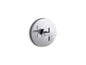Composed Rite-Temp - Valve Trim - Wall Mount - Cast