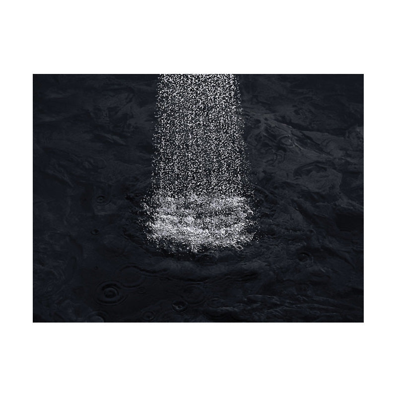Shift - 2-Way Hand Shower with Metallic Handle - 1/2"