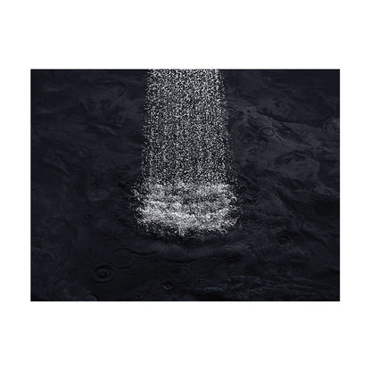 Shift - 2-Way Hand Shower with Metallic Handle - 1/2"