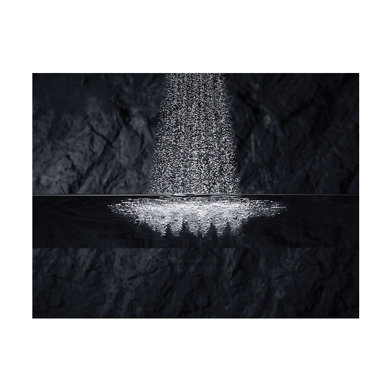Shift - 2-Way Hand Shower with Metallic Handle - 1/2"