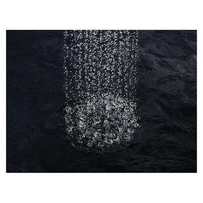 Raincan Shower Head - Vibrant Brushed Moderne