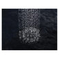 Raincan Shower Head - Vibrant Brushed Moderne