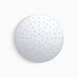 Raincan Shower Head - Wall