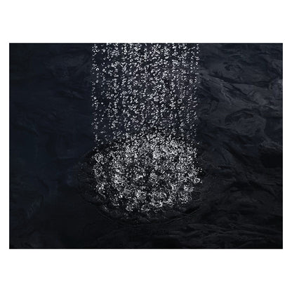 Raincan Shower Head - Wall