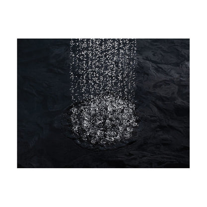 Raincan Shower Head - Wall