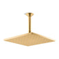 Radiant - Raincan Shower Head - Ceiling Mount - /Plastic