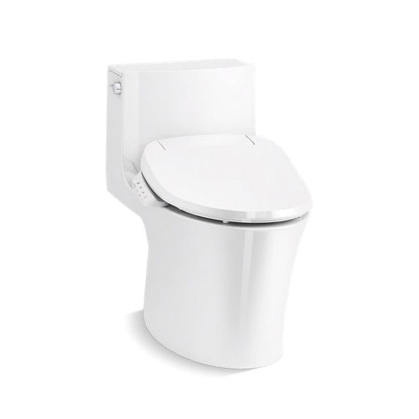 Veil - 1-Piece Toilet - Floor Mount - Elongated