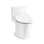 Veil - 1-Piece Toilet - Floor Mount - Elongated