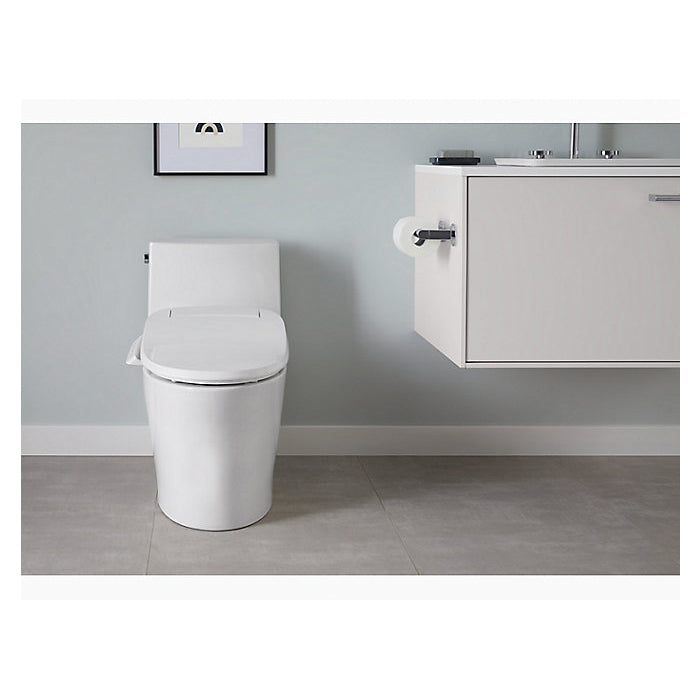 Veil - 1-Piece Toilet - Floor Mount - Elongated