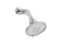 Forte - Multi-Function Showerhead - 1/2-14 NPT