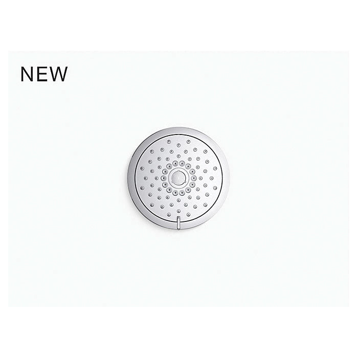 Forte - Multi-Function Showerhead - Wall Mount