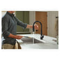 Tone - Pull-Down Kitchen Sink - 17-3/16" H - Deck Mount