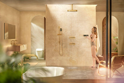 Statement - Multi-Function Hand Shower - 1.75 GPM