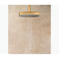 Statement - Shower Head - /Plastic