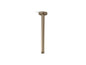 Statement - Ceiling Rainhead Arm and Flange