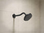 Occasion - Single-Function Shower Head