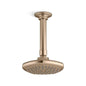 Occasion - Single-Function Shower Head
