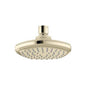 Occasion - Single-Function Shower Head - Vibrant French