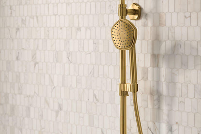 Occasion - Single-Function Hand Shower