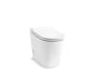 Leap - 1-Piece Toilet - Floor Mount - Elongated