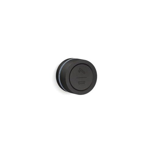 Dtv Mode 29201 - Bath/Shower Digital Interface