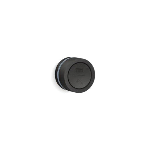 Dtv Mode 29202 - Dual Outlet Shower Digital Interface