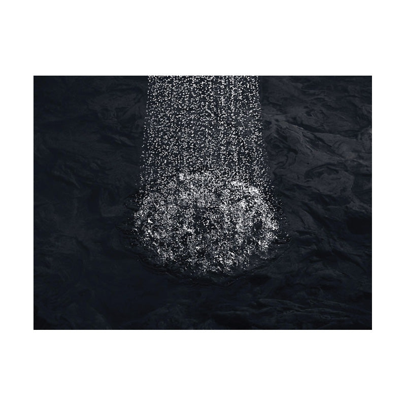 Alteo - 1-Function Showerhead - Wall Mount - 1 Sprays