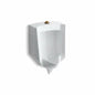 Stanwell - Blow-Out Urinal - Wall Mount - 1 GPF